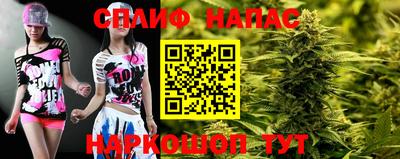 прущие грибы Северобайкальск