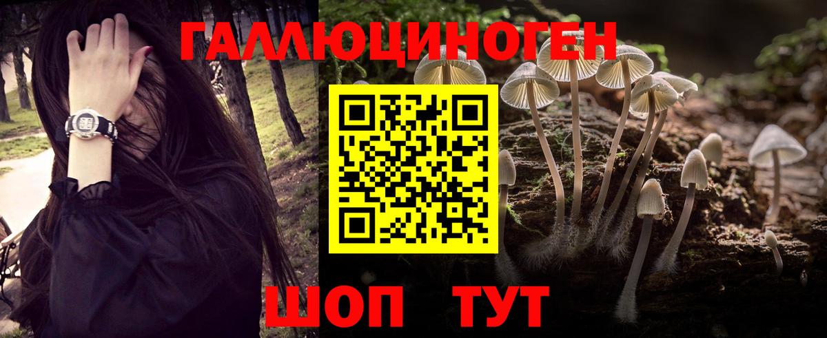 Галлюциногенные грибы GOLDEN TEACHER  Вход с VPN  Нижний Тагил  Псилоцибиновые грибы MAGIC MUSHROOMS 